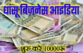 Business Idea earn Money Village Business Ideas in Hindi