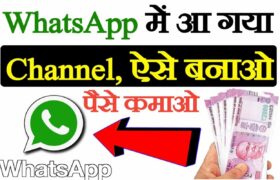 WhatsApp Channel